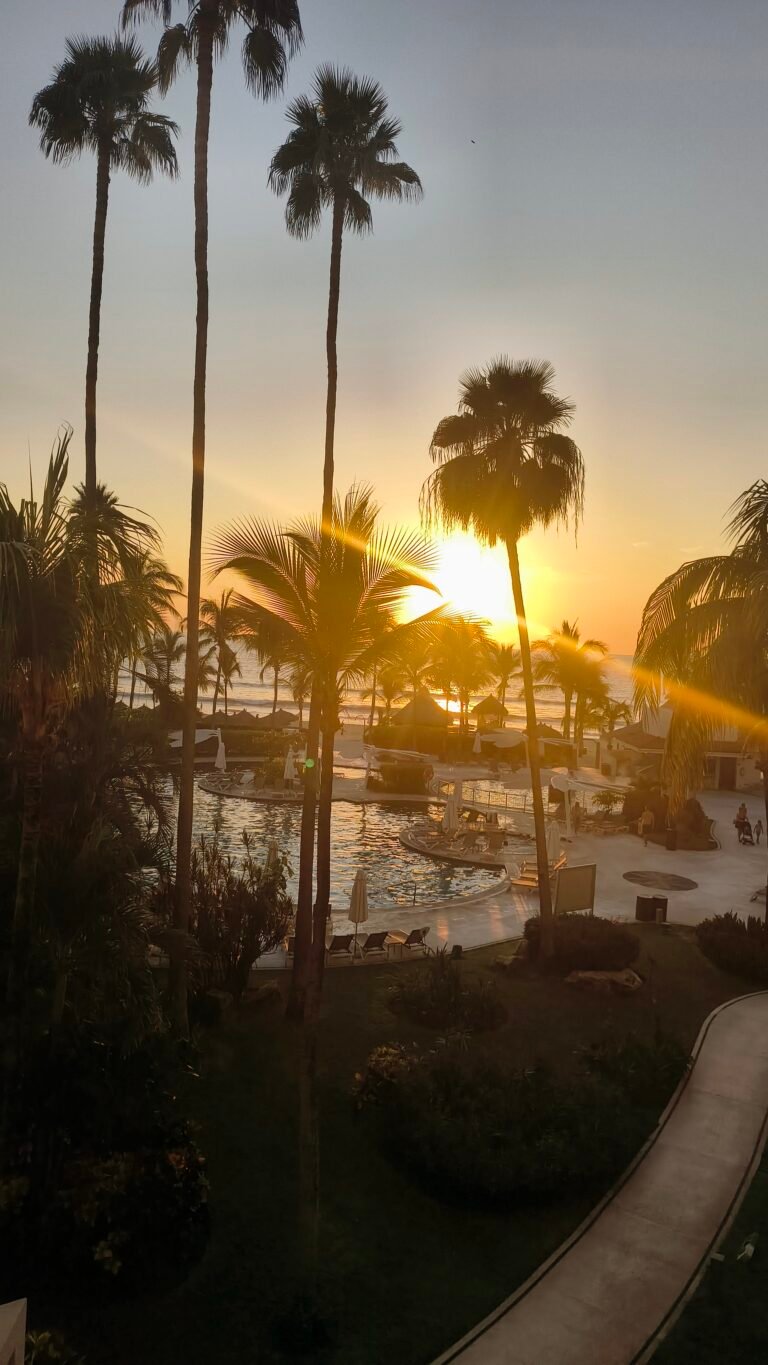 IMG_20251111_180350432_PCT