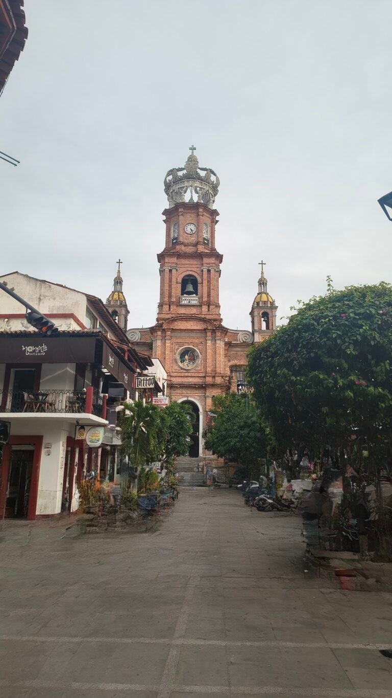 IMG_20251112_162447062_HDR2