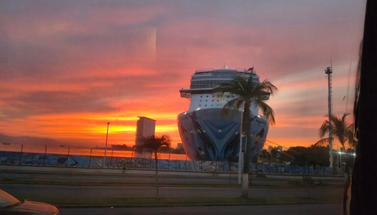 IMG_20251112_1827592693