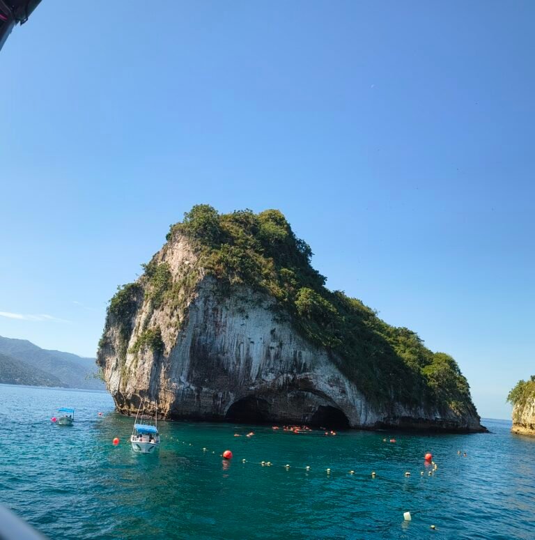 IMG_20251113_114101728