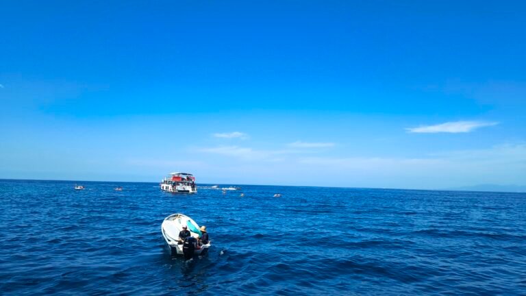 IMG_20251113_121607062_PCT