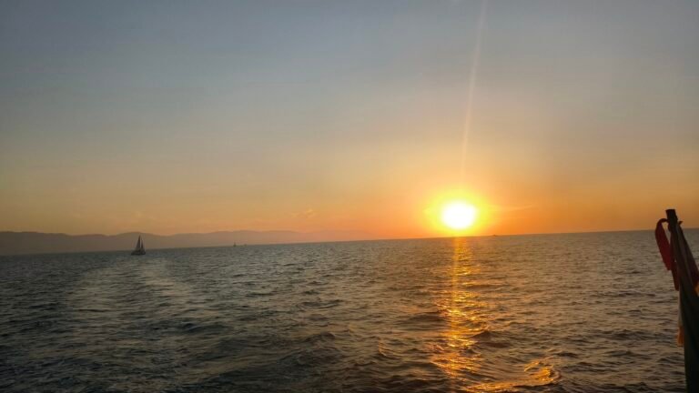 IMG_20251113_180824491_PCT